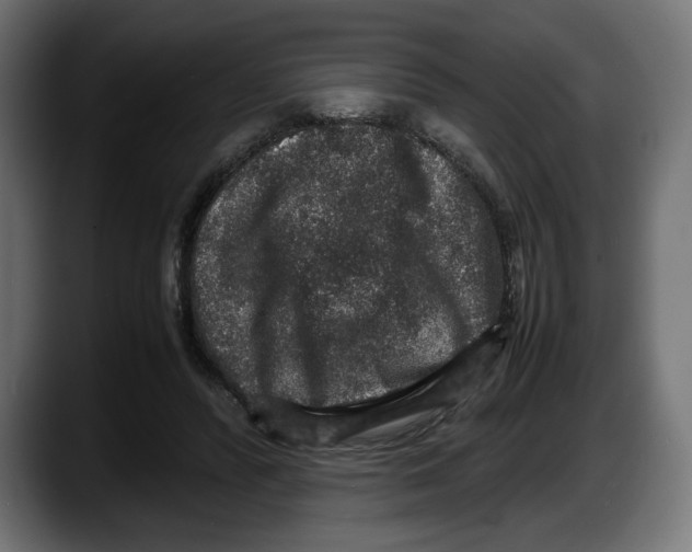 X0000087520400200705251643