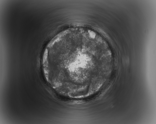 X0000087520401200705251643