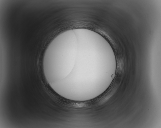 X0000087520402200705251643