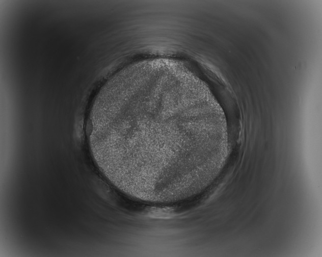 X0000087520403200705251643