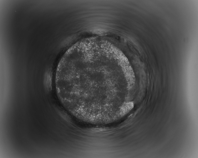 X0000087520404200705251643