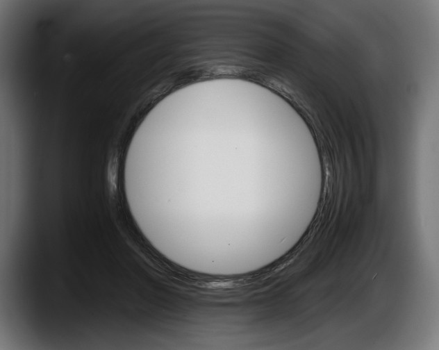 X0000087520406200705251643