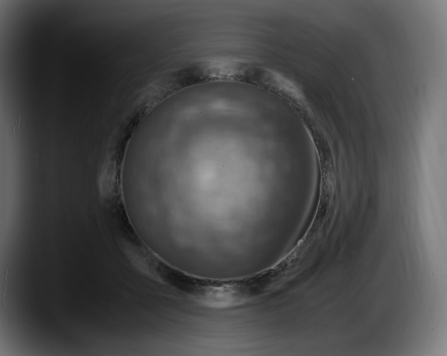 X0000087520411200705251643