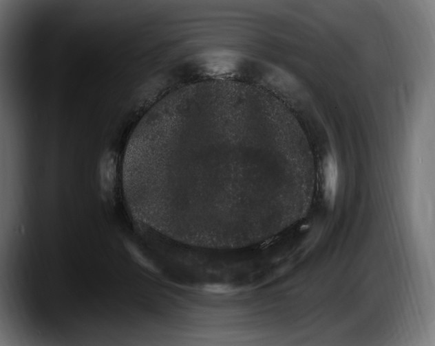 X0000087520412200705251643