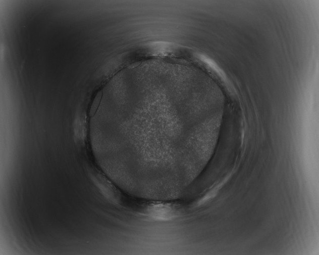 X0000087520413200705251643