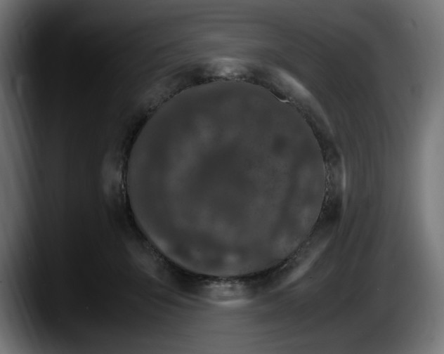 X0000087520415200705251643