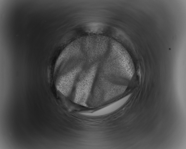 X0000087520416200705251643