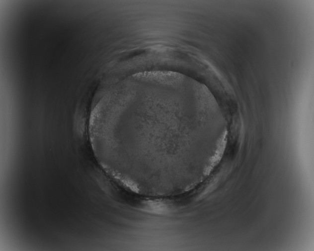 X0000087520417200705251643