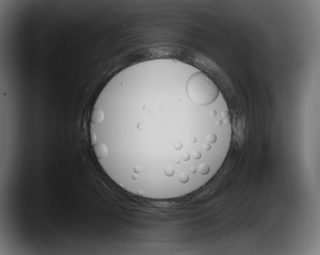 X0000087520418200705251643