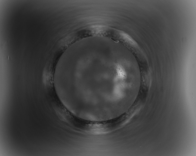 X0000087520419200705251643