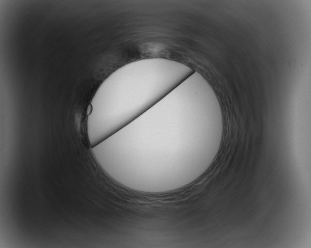 X0000087520420200705251643