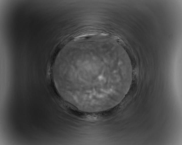 X0000087520423200705251643