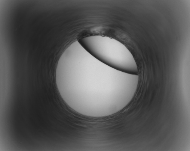 X0000087520424200705251643