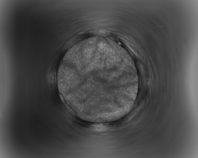 X0000087520425200705251643