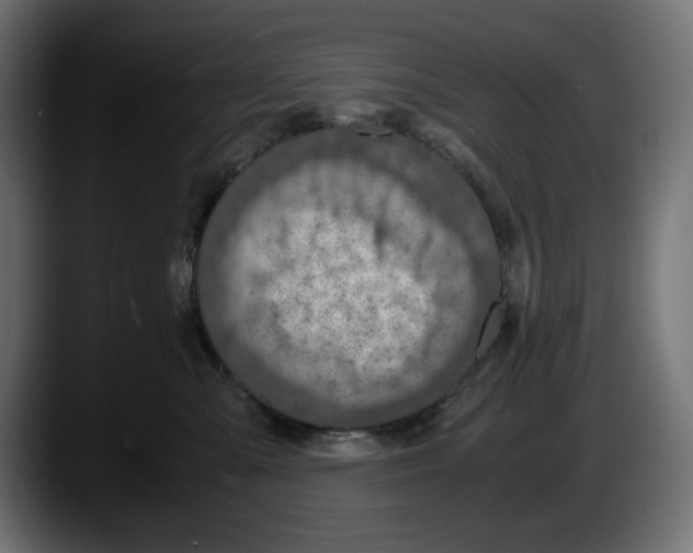 X0000087520427200705251643