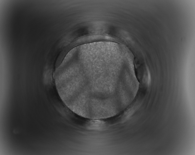 X0000087520429200705251643