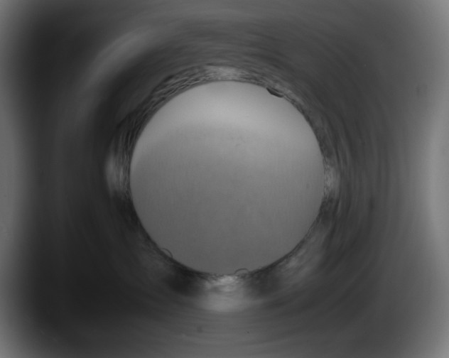 X0000087520431200705251643