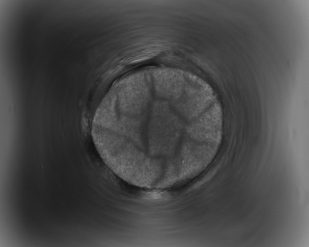 X0000087520432200705251643