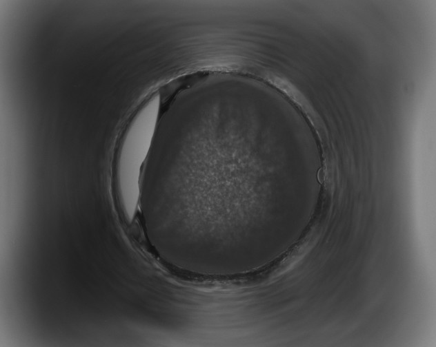 X0000087520434200705251642