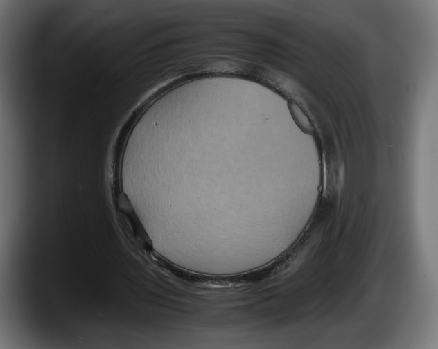 X0000087520435200705251642