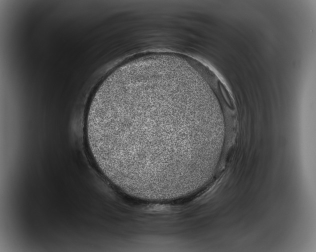 X0000087520437200705251642