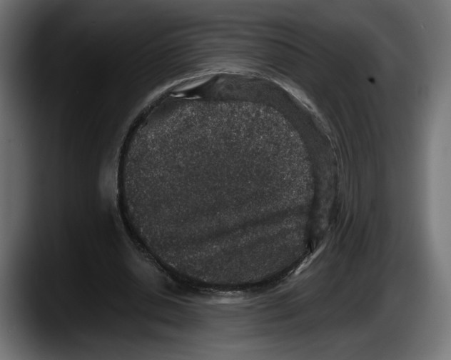 X0000087520438200705251642