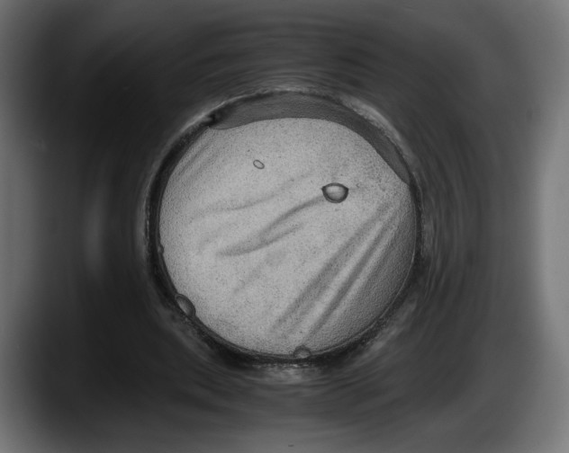 X0000087520439200705251642