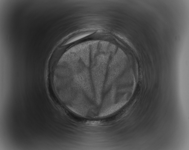 X0000087520440200705251642