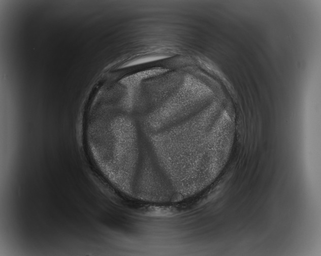 X0000087520442200705251642