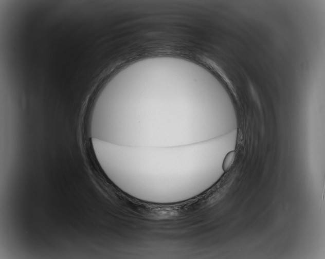 X0000087520443200705251642