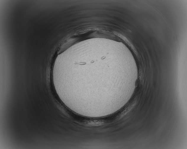 X0000087520445200705251642