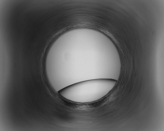 X0000087520446200705251642