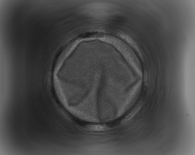 X0000087520449200705251642