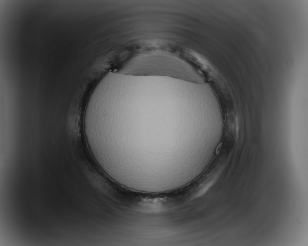 X0000087520450200705251642