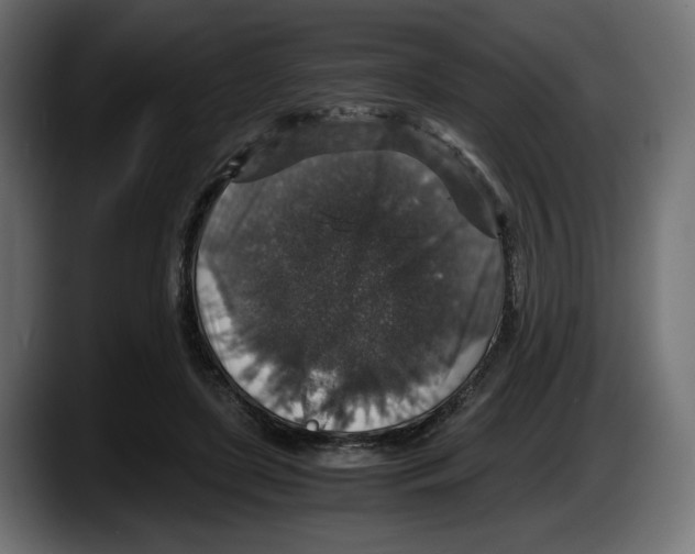 X0000087520451200705251642