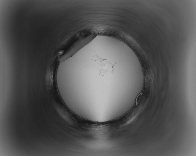 X0000087520454200705251643