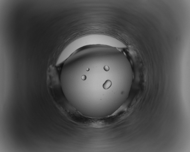 X0000087520456200705251643