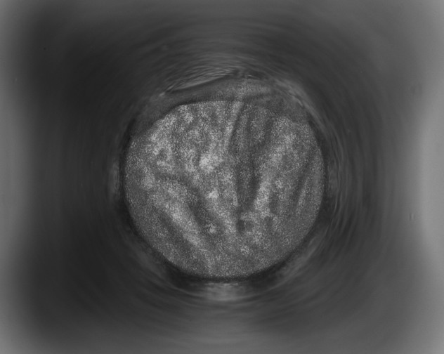 X0000087520457200705251643