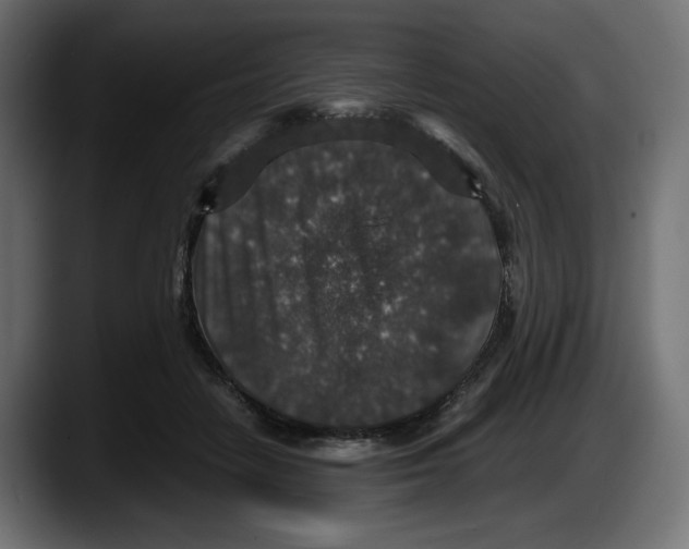 X0000087520458200705251643