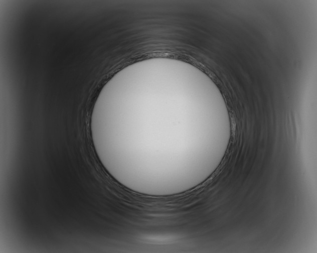 X0000087520460200705251643