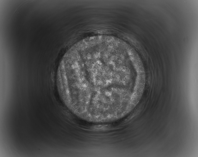 X0000087520461200705251643