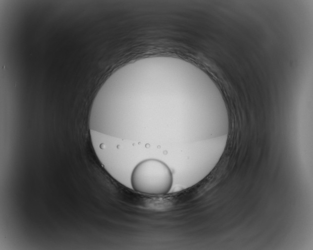 X0000087520465200705251643