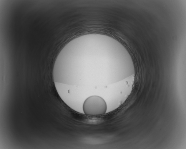 X0000087520467200705251643