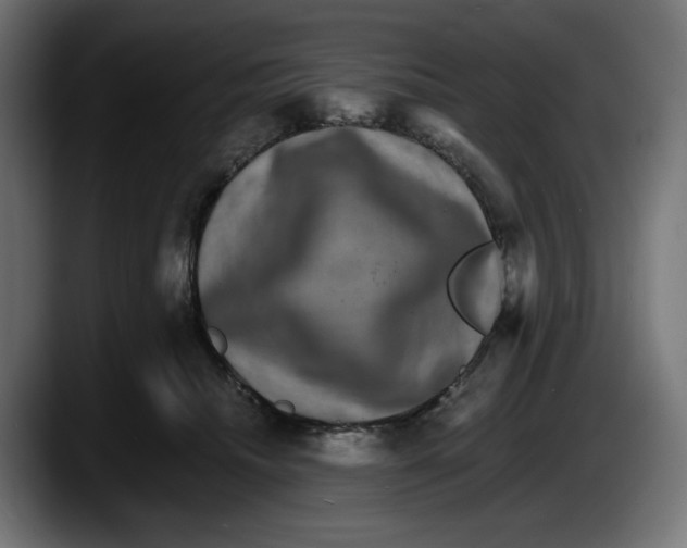 X0000087520468200705251643