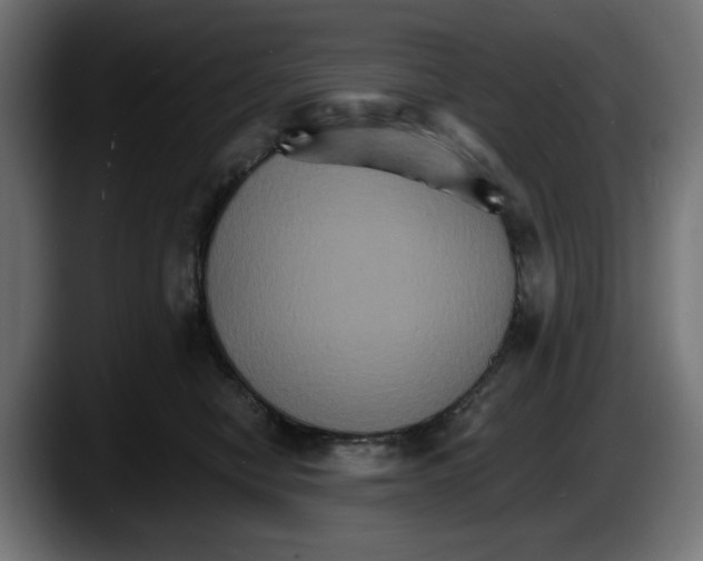 X0000087520470200705251643