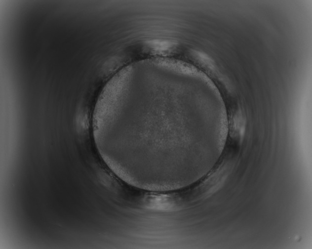 X0000087520472200705251643