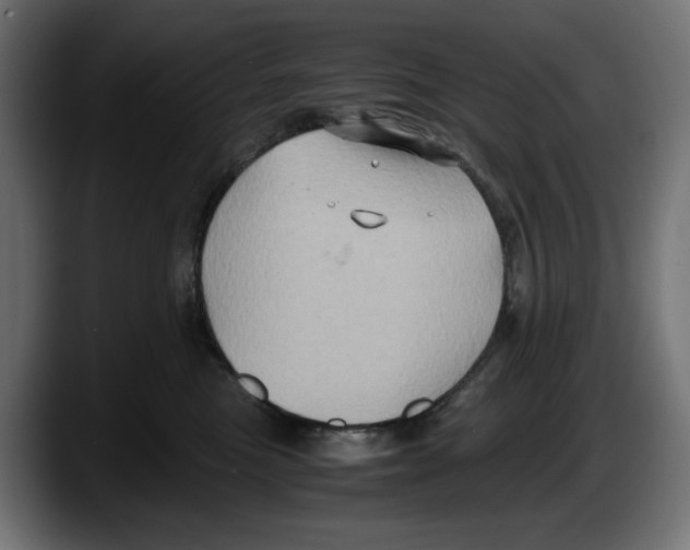 X0000087520473200705251643