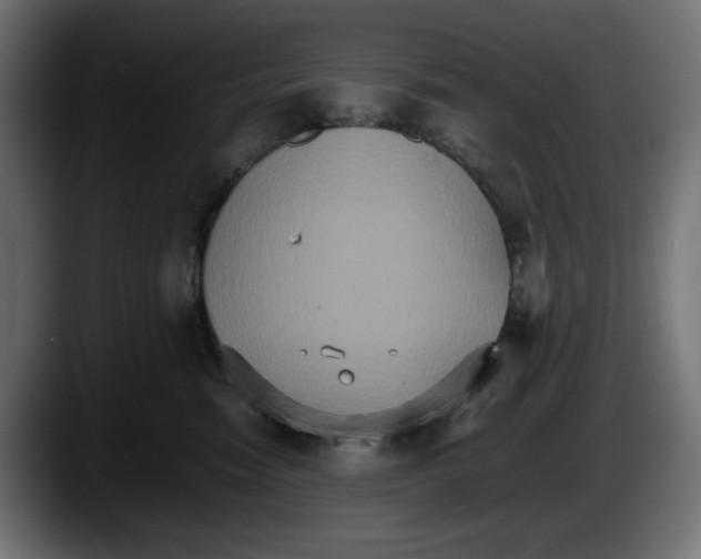 X0000087520474200705251643