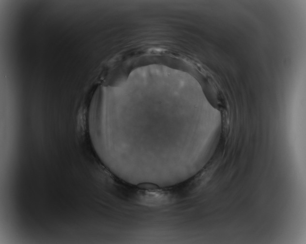 X0000087520475200705251643