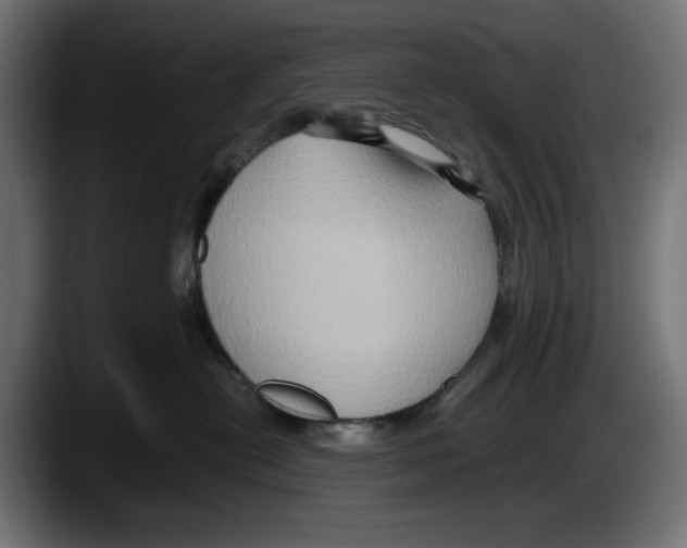 X0000087520478200705251643